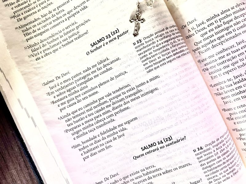 Mensagem Bíblica Salmo 23 - O Senhor é o meu pastor!